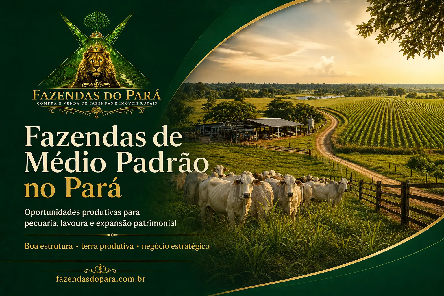Fazendas de médio padrão no Pará